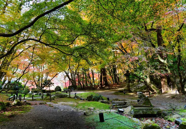Akçaağaç Yaprağı Festivali - Daigo-ji Tapınağında Sonbahar   