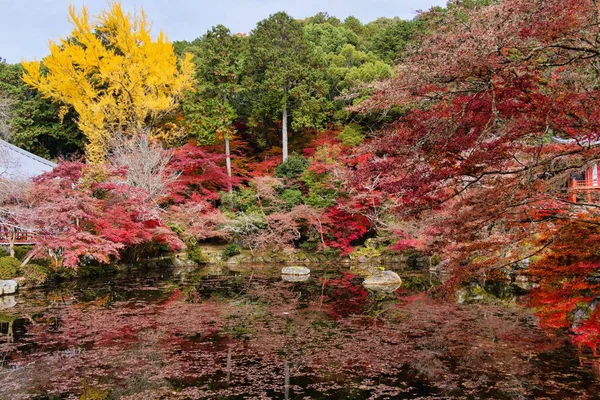 Akçaağaç Yaprağı Festivali - Daigo-ji Tapınağında Sonbahar            