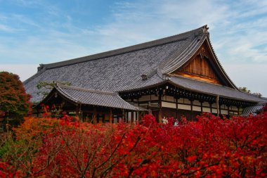 Akçaağaç Yaprağı Festivali - Kyoto 'daki Tofukuji Tapınağında Sonbahar