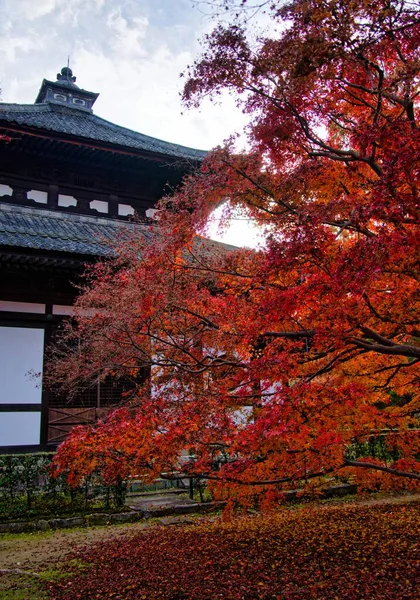 Akçaağaç Yaprağı Festivali - Kyoto 'daki Tofukuji Tapınağında Sonbahar