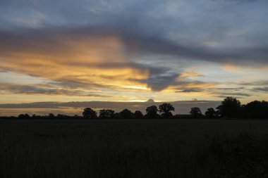 Gökyüzünün ve bulutların bir fotoğrafı güneşin doğuşuyla ön planda siluetli ağaçlarla aydınlandı. Büyük Fransham, Norfolk, İngiltere, İngiltere.  