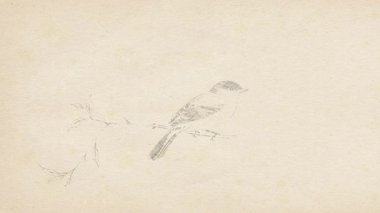 Kalem Çizim Tesisleri ve Hayvanlarla Tablo