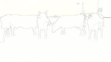 Bir grup ineğin bir çiftlikte durduğu minimalist bir çizgi sanat animasyonu, temiz, sade, siyah ve beyaz bir tarzda.