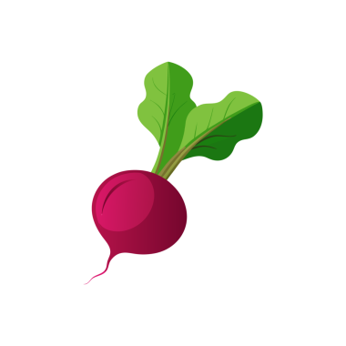 Taze, canlı turp ve açık yeşil yapraklar sağlıklı beslenmek için koyu bir arka plan.