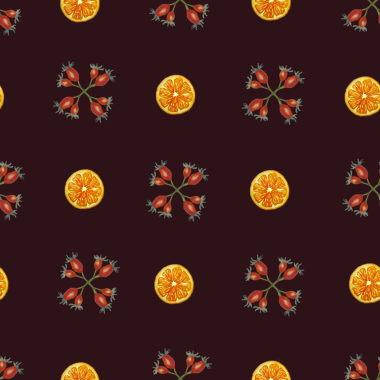 Rosehip kümeleri ve Citrus Dilimleriyle Karanlık Botanik Deseni