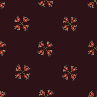 Karanlık Arkaplanda Rosehip Botanik Minimum Kusursuz Desen
