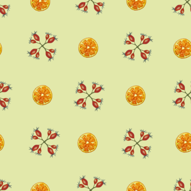 Turuncu ve Rosehip elementleriyle Tatil Botanik Deseni