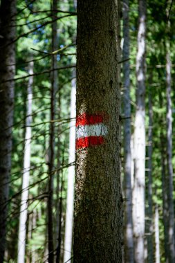 Dağ yolu boyunca bir kaya ya da ağaca kırmızı beyaz yürüyüş işareti çizilmiş. Doğal doğa manzarası ve sakin yürüyüş atmosferiyle çevrili Avrupa yürüyüş yollarında kullanılan açık ve basit bir navigasyon işareti.