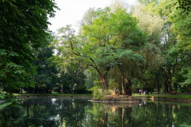 Ağaçlarla çevrili bir parkta sakin bir göl, merkezinde kuş evi ve ağaçlar olan küçük bir ada..