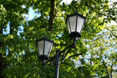 Yeşillik ve doğa manzarasıyla çevrili, parkta duran eski tarz bir sokak lambası..