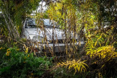 Eski terk edilmiş araba yavaş yavaş doğa tarafından geri alınıyor, otlar ve bitkilerle kaplanıyor, kırsal ve melankolik bir atmosfer yaratıyor..