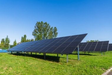 Zemine monte edilmiş güneş panelleri güneş ışığını bir güneş çiftliğinde emer, temiz enerji konsepti, yenilenebilir enerji, sürdürülebilir teknoloji.