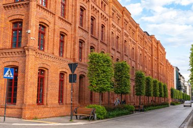 Şehir sokağı, yeni dikilmiş yeşil ağaçlarla dolu. Kentlerin ekolojiyi iyileştirme ve daha sağlıklı bir çevre için kentsel yeşilliği artırma çabalarına vurgu yapılıyor.