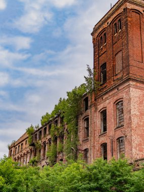 Yoğun yeşil çalılarla çevrili, eski, terk edilmiş, kırmızı tuğla bir bina. İnsan yapımı yapıları geri alan doğayı gözler önüne seriyor..