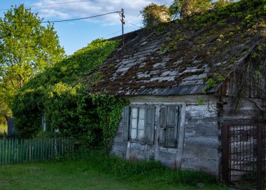 Yosunlu çatısı ve eskimiş kepenkleri olan terk edilmiş ahşap bir ev. Kısmen yoğun yeşil bitki örtüsüyle kaplı. Huzurlu ama unutulmuş bir kır manzarası..