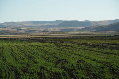 açık hava manzarasının resimsel görüntüsü