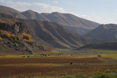 Nehir ve dağ olan güzel bir manzara.