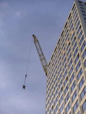 Arka planda modern bina ve kentsel doğa manzarası ile ön planda sazlıklar