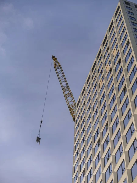 Arka planda modern bina ve kentsel doğa manzarası ile ön planda sazlıklar