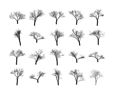 Ağaç siluetlerinden oluşan bir kolleksiyon sert beyaz bir arkaplana karşı sunulur kasvetli ve minimalist bir kompozisyon oluşturur yaprakların yokluğu uykudaki ağaçların güzelliğini vurgulayan karmaşık dal yapılarını vurgular. 
