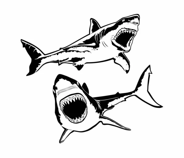 Köpekbalıklarının vektör silueti