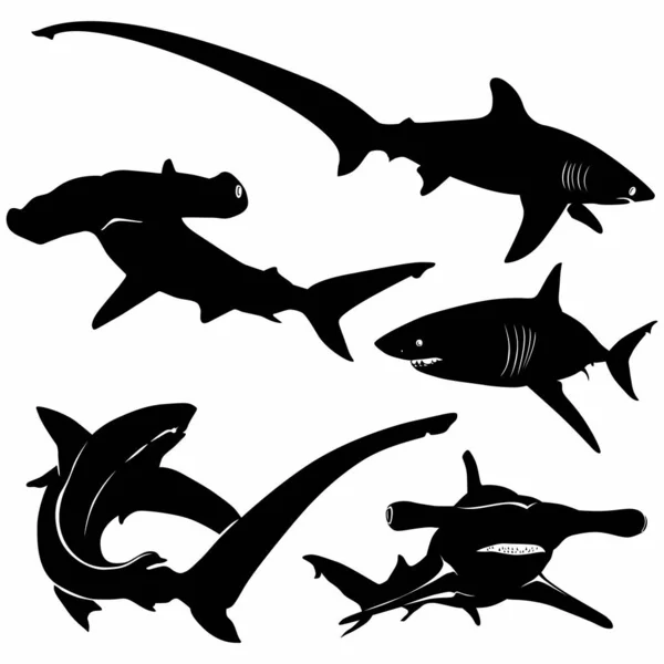 Köpekbalıklarının vektör siluetini ayarla