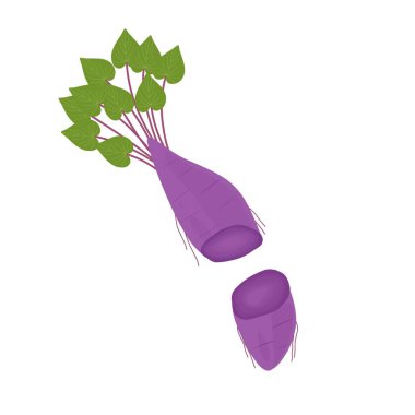 Mor tatlı patates tasviri. Mor tatlı patates tasviri. Yumru görüntüsü. Tatlı patates ve tatlı patatesin resmi. Tatlı patates tasviri. Tatlı patates yassı tasarımı 