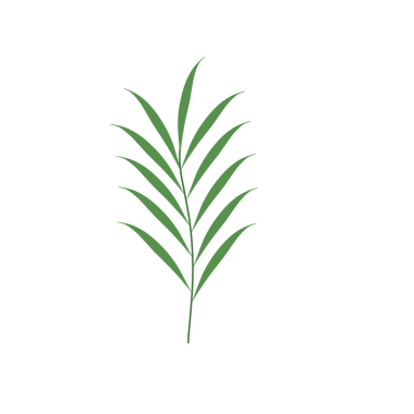 Basit bir el çizimi yeşil yaprak çizimi. Yeşil Duan illüstrasyonu. Minimalist yaprak illüstrasyonu 