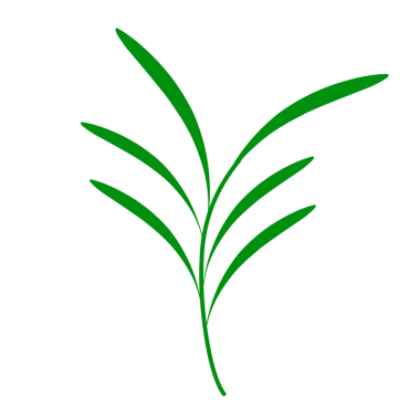 Yeşil çay yapraklarının düz tasarımı. Sağlıklı ve besleyici bir içecek için yeşil çay yaprakları tasviri. Bitkisel çay yaprakları. 