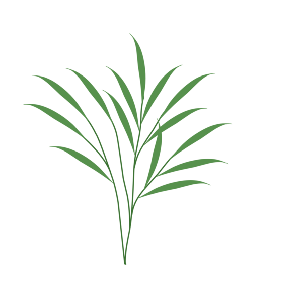 Basit bir el çizimi yeşil yaprak çizimi. Yeşil Duan illüstrasyonu. Minimalist yaprak illüstrasyonu 