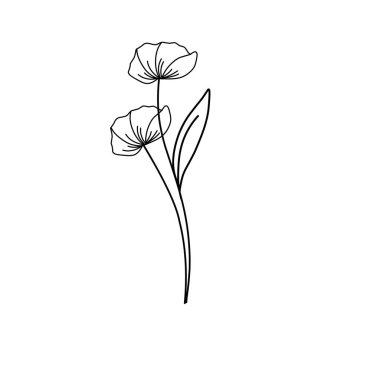 Minimalist çizgi, çiçek illüstrasyonu. Minimalist çiçek çizimi. Çiçek vektör çizimi. Güzel çiçek tasarımı