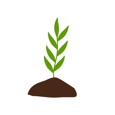 Bitkilerin büyüme aşamalarının el çizimi çizimi 