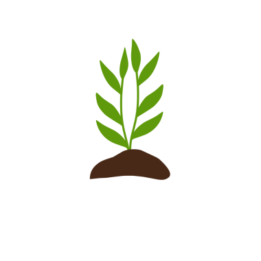 Bitkilerin büyüme aşamalarının el çizimi çizimi 