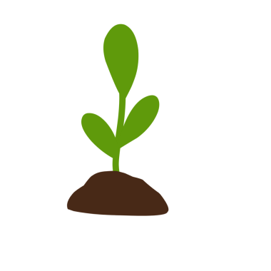 Bitkilerin büyüme aşamalarının el çizimi çizimi 