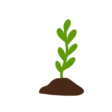 Bitkilerin büyüme aşamalarının el çizimi çizimi 