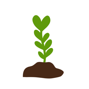 Bitkilerin büyüme aşamalarının el çizimi çizimi 