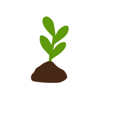 Bitkilerin büyüme aşamalarının el çizimi çizimi 