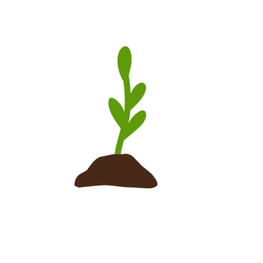 Bitkilerin büyüme aşamalarının el çizimi çizimi 