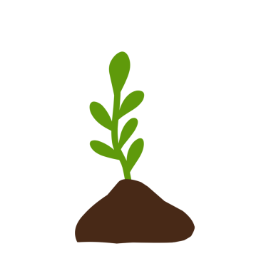 Bitkilerin büyüme aşamalarının el çizimi çizimi 