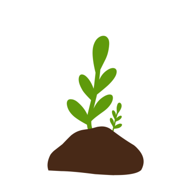 Bitkilerin büyüme aşamalarının el çizimi çizimi 