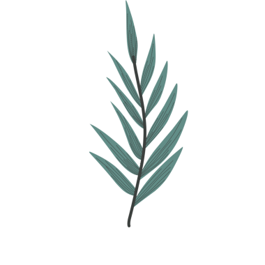 Haşlanmış yumurta illüstrasyonu. Tavuk yumurtası çizimi. Tavuk yumurtası yassı tasarımı