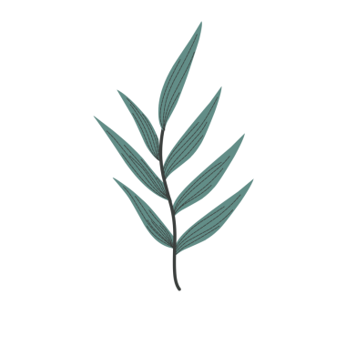 Haşlanmış yumurta illüstrasyonu. Tavuk yumurtası çizimi. Tavuk yumurtası yassı tasarımı