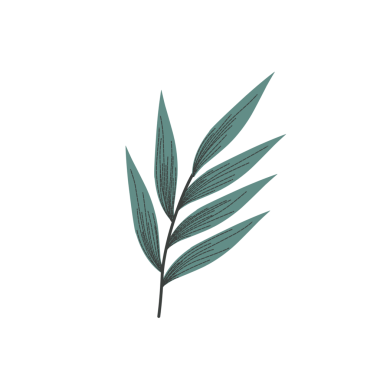 Haşlanmış yumurta illüstrasyonu. Tavuk yumurtası çizimi. Tavuk yumurtası yassı tasarımı