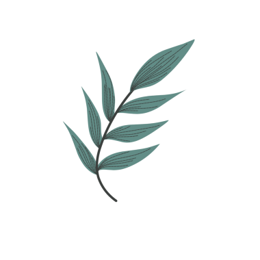 Haşlanmış yumurta illüstrasyonu. Tavuk yumurtası çizimi. Tavuk yumurtası yassı tasarımı