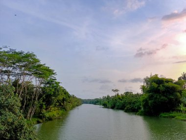 Calm river winds through a green, lush forest under a pastel sky at sunset, evoking a peaceful and natural atmosphere, suitable for travel and environmental themed marketing.
