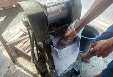 Plastik eldiven takan biri, kırsal bir makine kullanarak beyaz malzeme öğütüyor, plastik poşet içine ürün topluyor, açık hava ortamında, gıda işleme ve imalat kavramları için ideal..