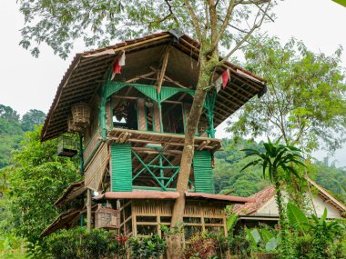 Yeşil aksanlı büyüleyici bir kır evi, canlı bir tropikal ormanda uzun ağaçların arasına inşa edilmiş, barışçıl ve doğal bir geri çekilme yaratıyor, eko-turizm ve macera yolculuğu için mükemmel..
