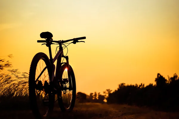 Silhueta de ciclista de montanha em pista única no céu por do sol — Fotografia de Stock