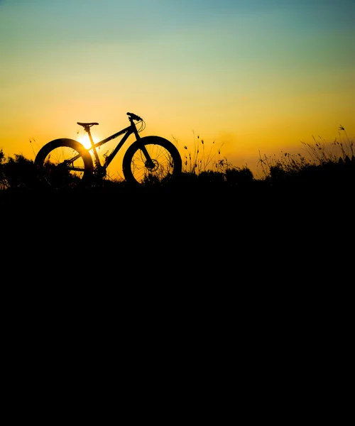 Silhueta gorda ao pôr do sol, gorda bicicleta de pneu ao pôr do sol — Fotografia de Stock