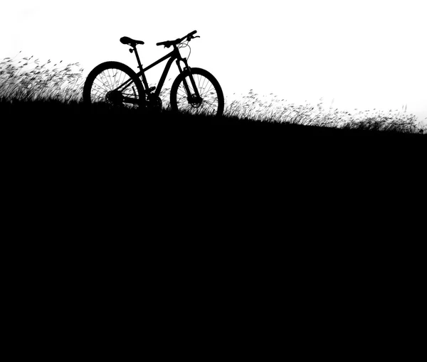 Silhouette bicycle on grass — Stock Photo, Image